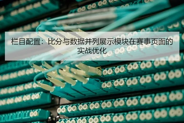 lan-mu-pei-zhi-bi-fen-yu-shu-ju-bing-lie-zhan-shi-mo-kuai-zai-sai-shi-ye-mian-de-shi-zhan-you-hua-2-205.jpg
